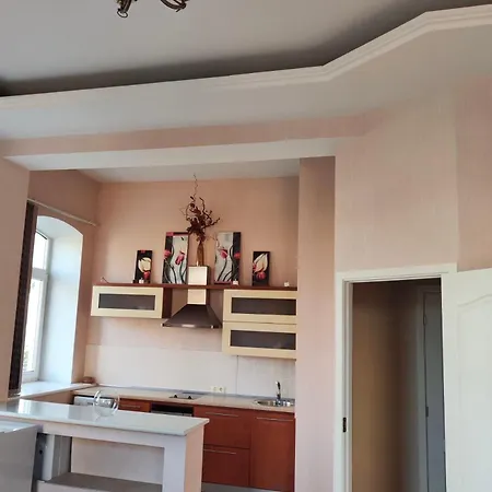 Cozy In The Middle Of The City! Apartment Daugavpils