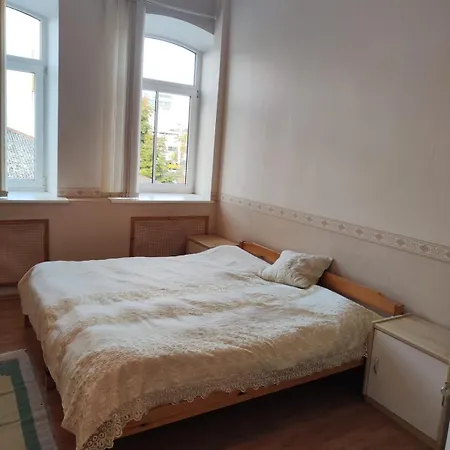 Apartment Cozy In The Middle Of The City!