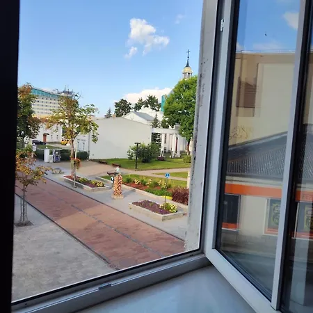 Cozy In The Middle Of The City! Apartment *